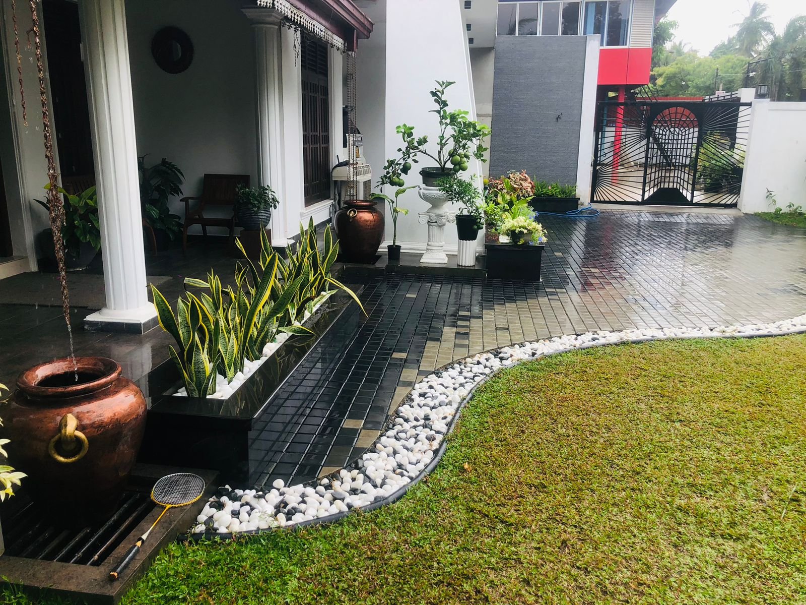 Other image 202509/australian-grass-price-kottawa-sri-lanka-wedabima-ba8e082e2d.jpeg