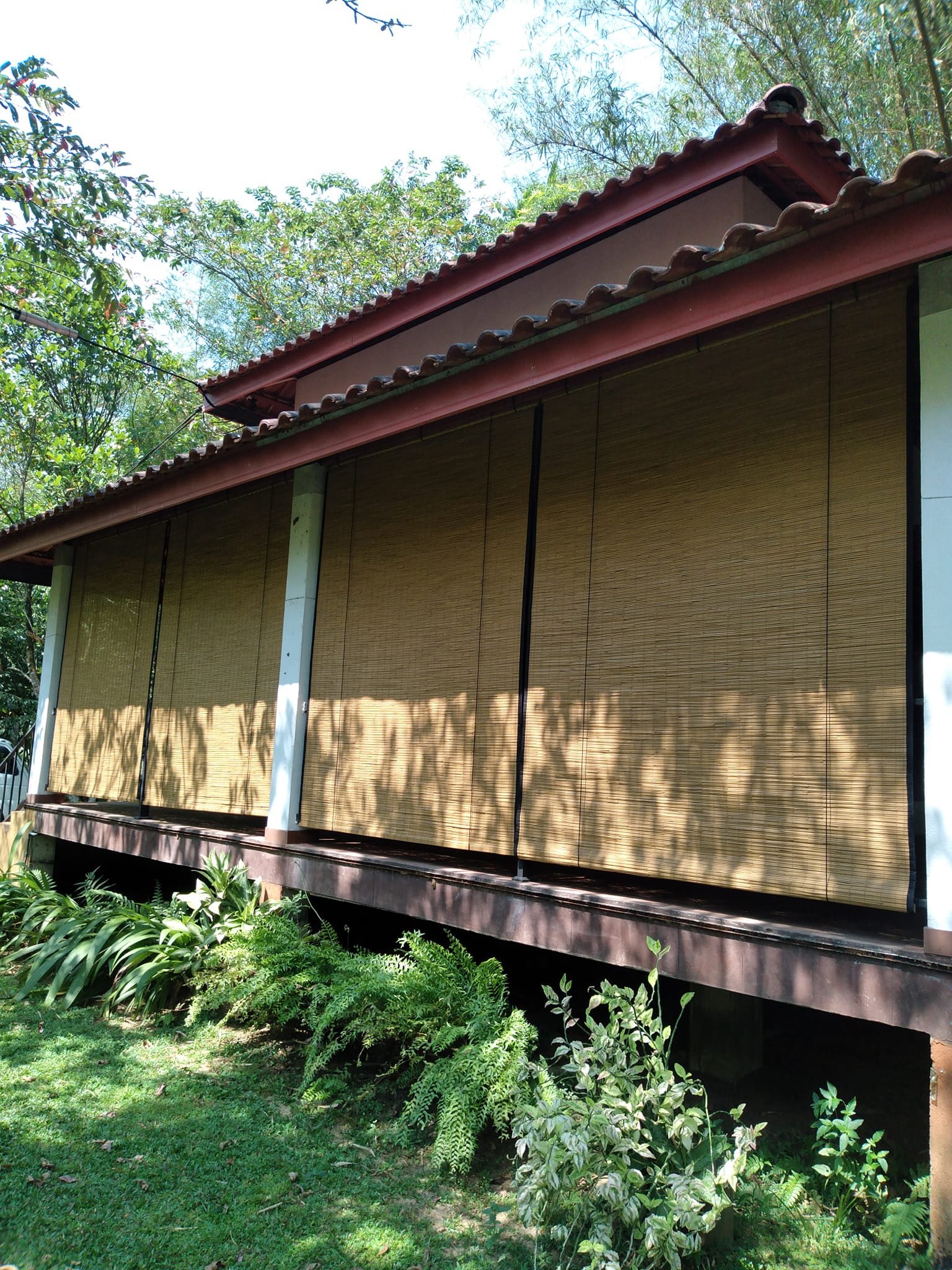 Other image 202509/bamboo-blinds-price-in-galle-wedabima-de17ce2302.jpg