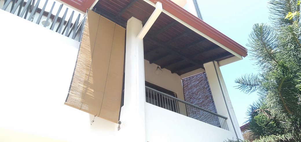 Other image 202509/bata-palali-in-sri-lanka-wedabima-d058776d41.jpeg