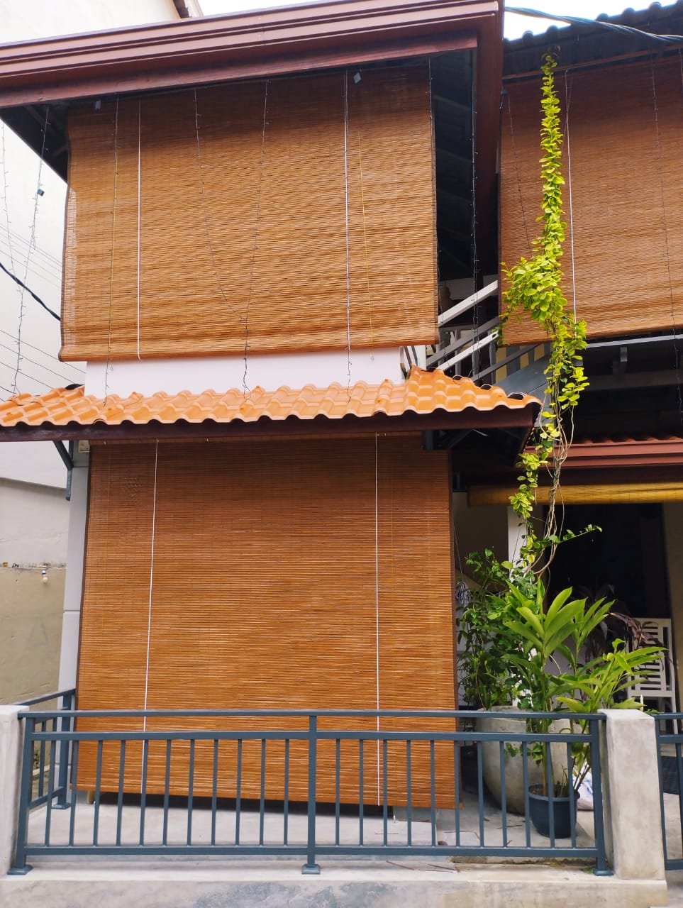 Other image 202509/bata-palali-price-in-colombo-wedabima-7455d5ab44.jpeg