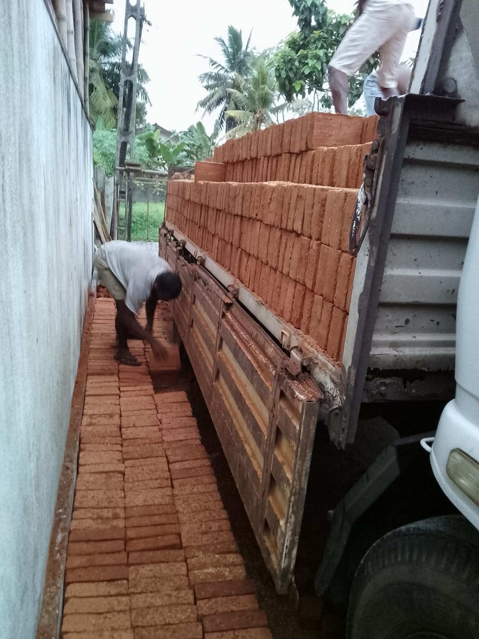 Other image 202509/brick-prices-in-matale-wedabima-4f77cc5418.jpg