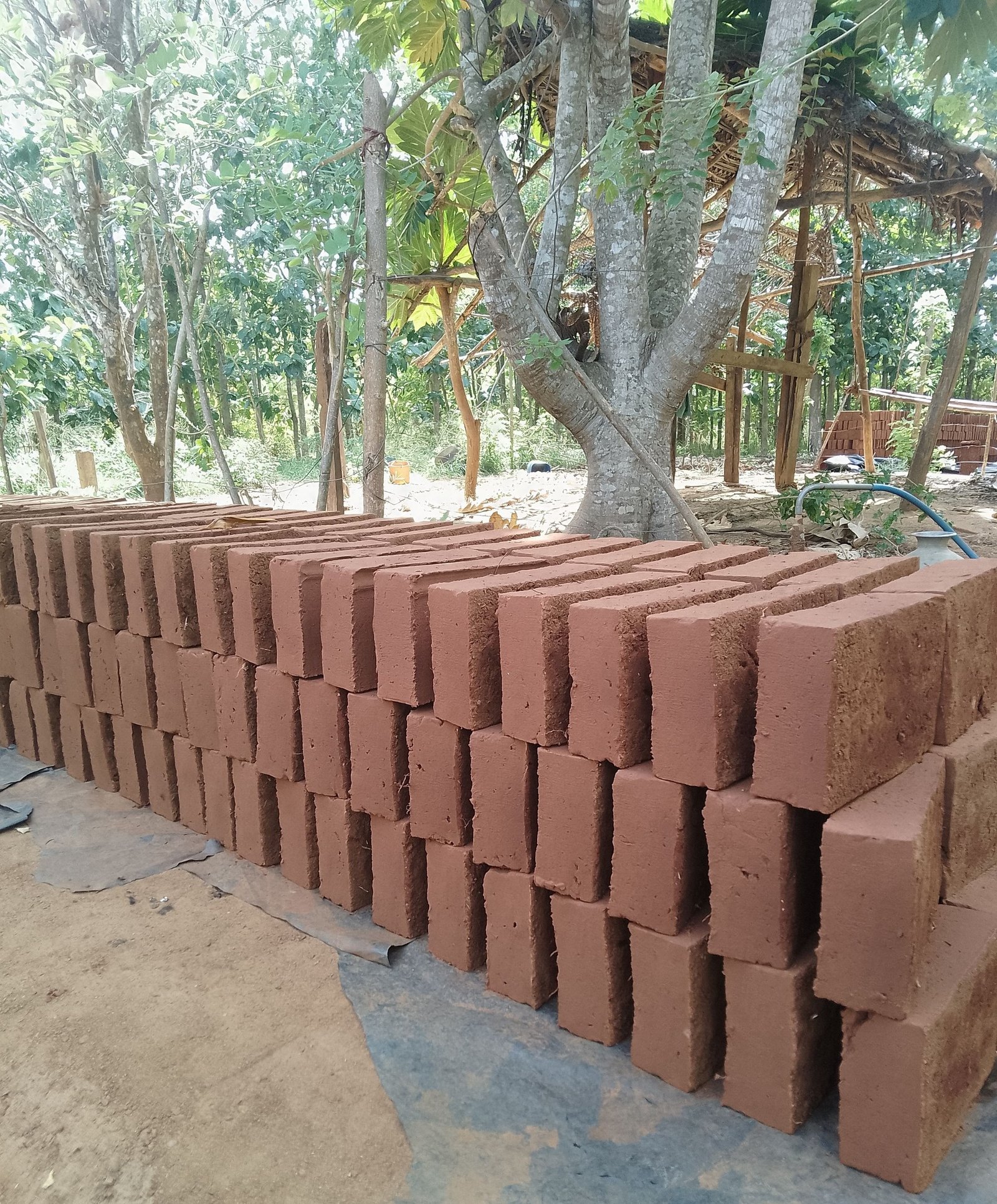 Other image 202509/building-materials-supplier-in-matale-dambulla-wedabima-50b58a884f.jpg