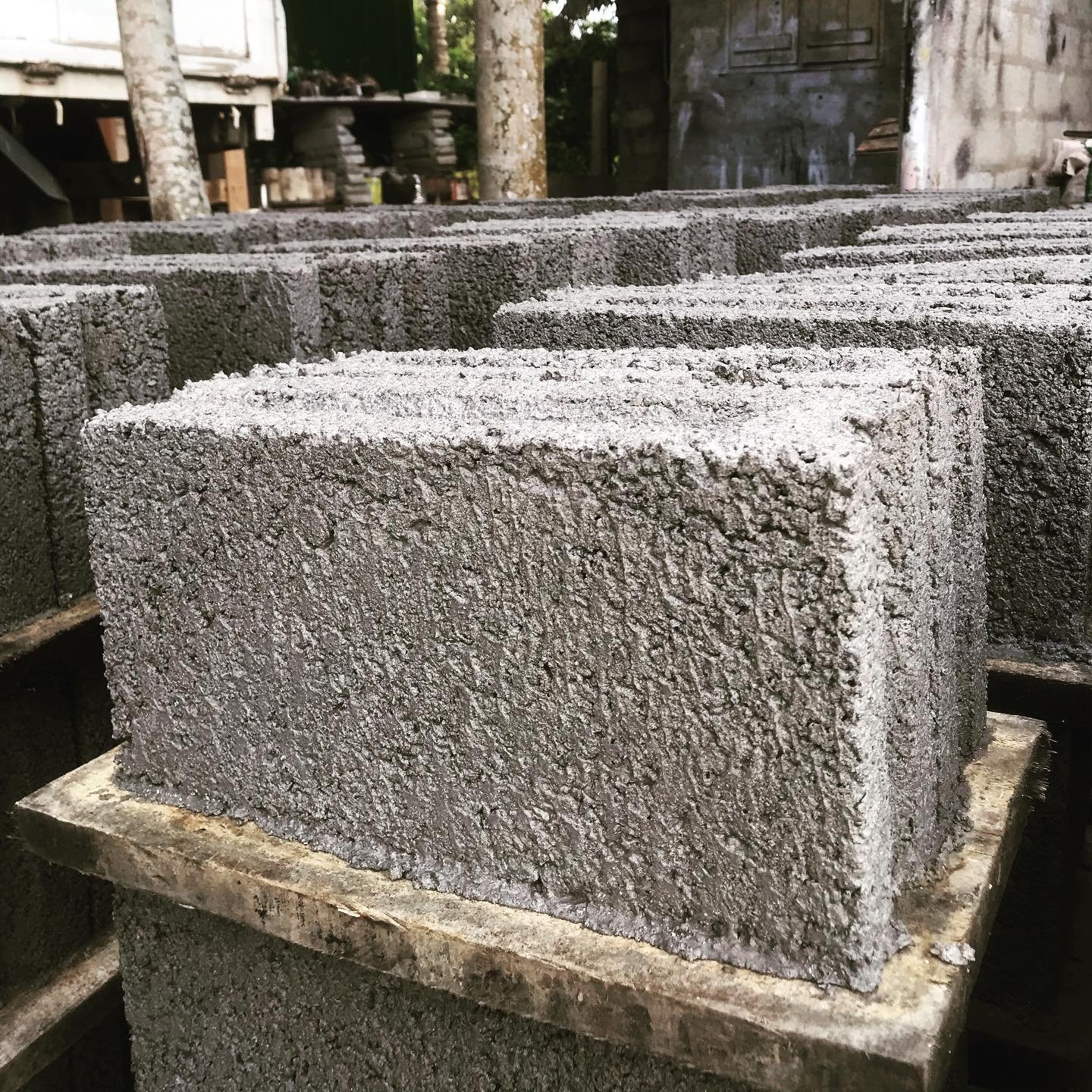 Other image 202509/cement-brick-price-in-matale-wedabima-f55931ec49.jpg