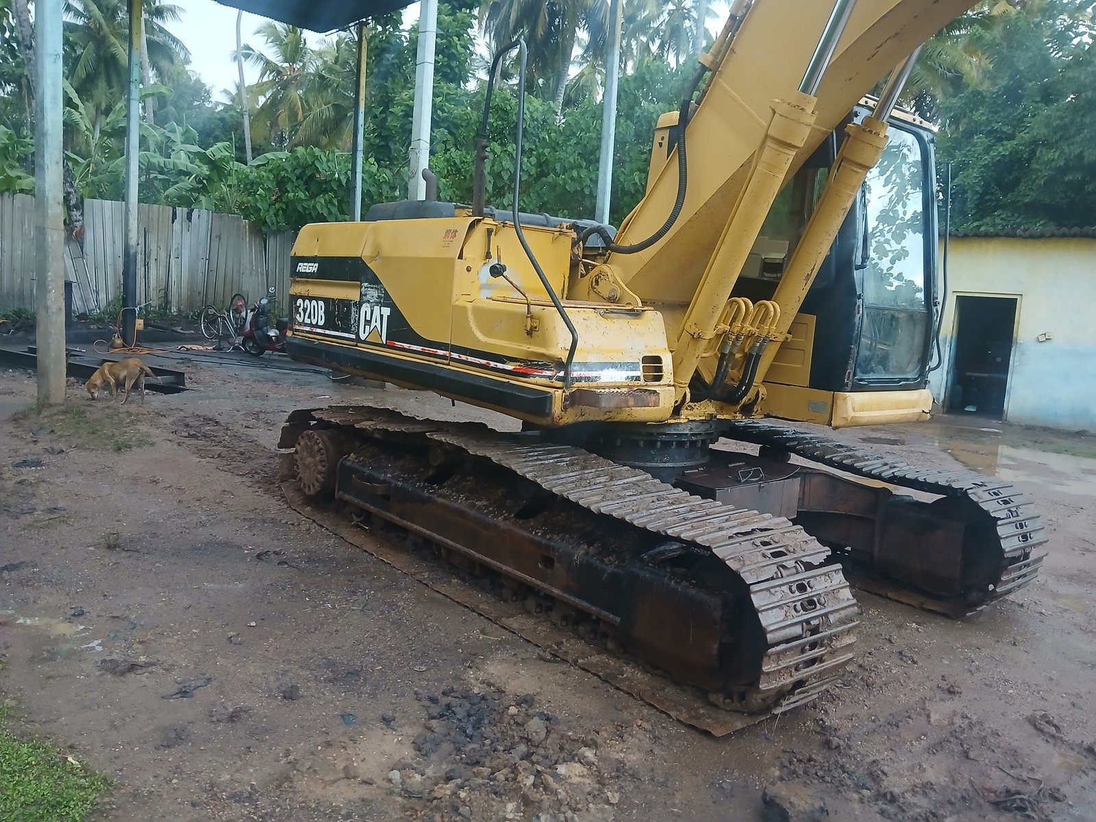 Other image 202509/excavator-rental-services-colombo-wedabima-f663f65a85.jpg