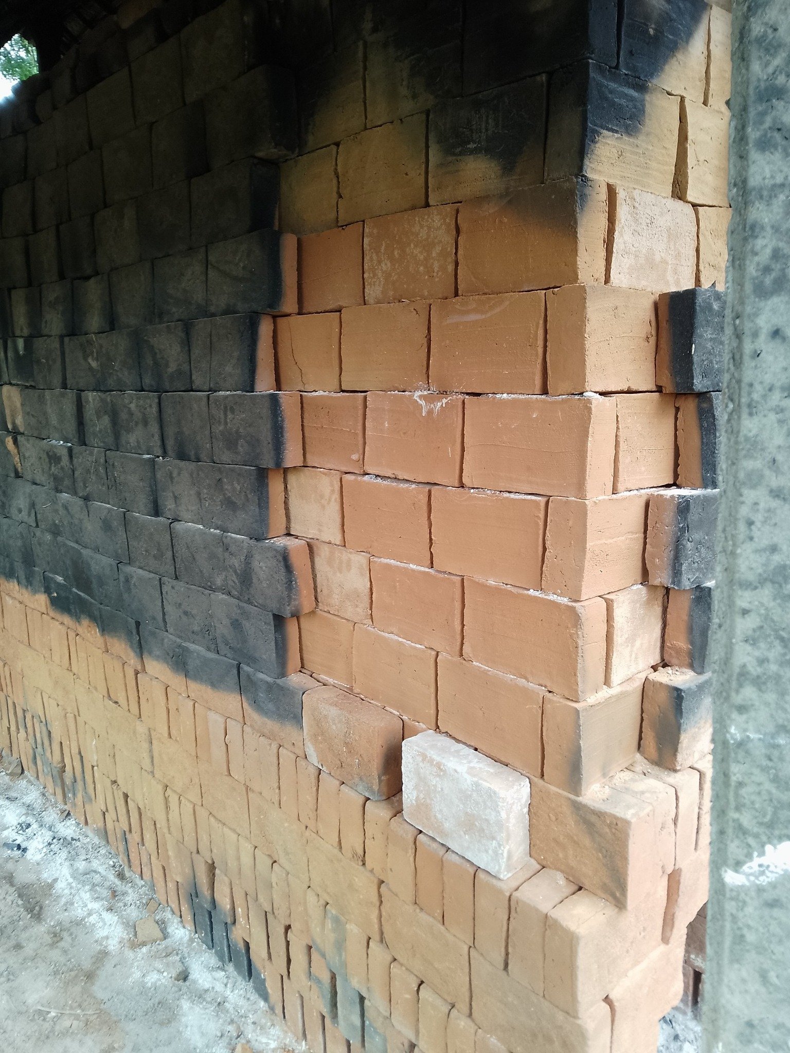 Other image 202509/gadol-transport-in-matale-price-wedabima-79fa86dde6.jpg