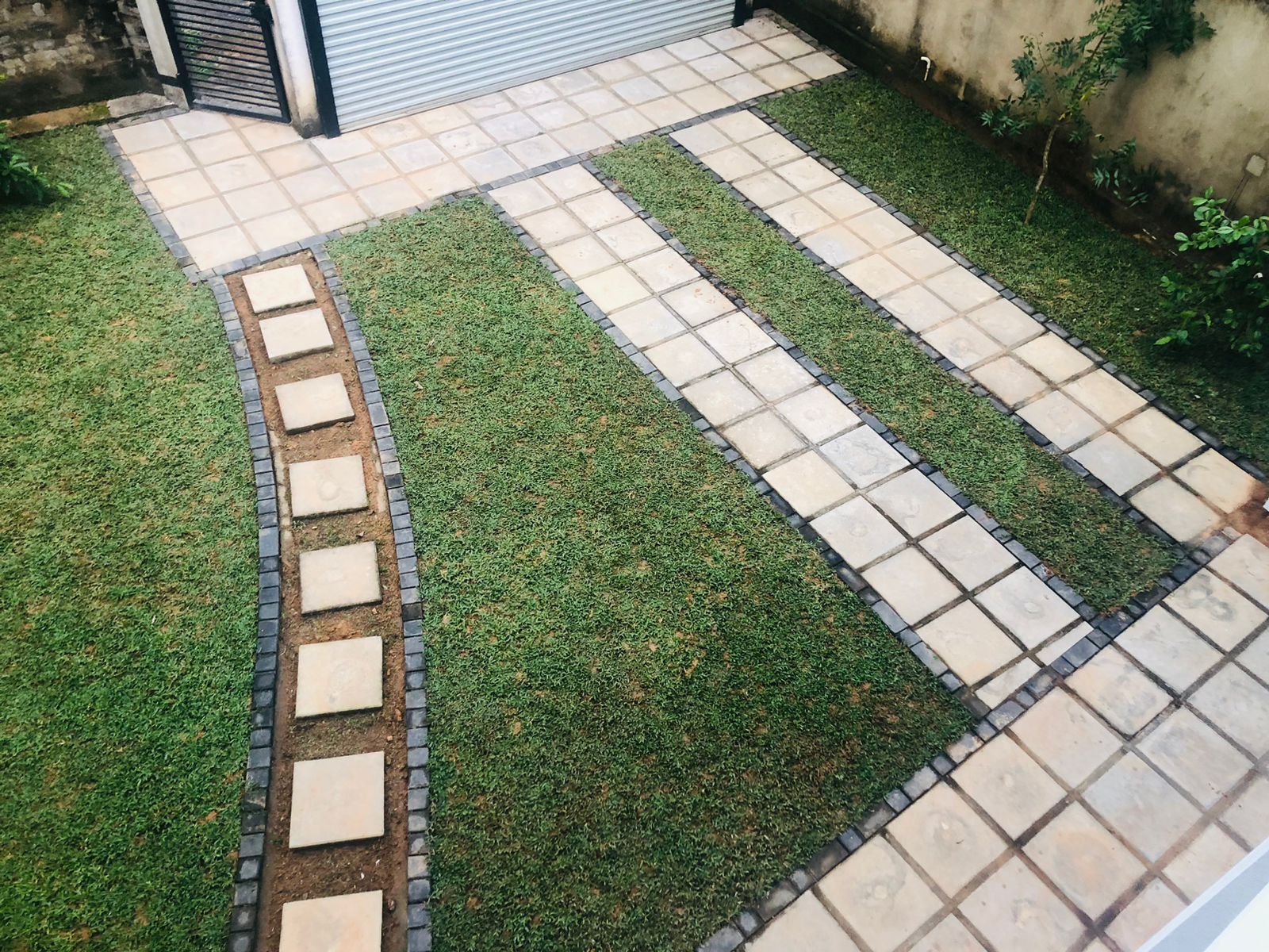 Other image 202509/malaysian-grass-price-pannipitiya-wedabima-16c4a79127.jpeg