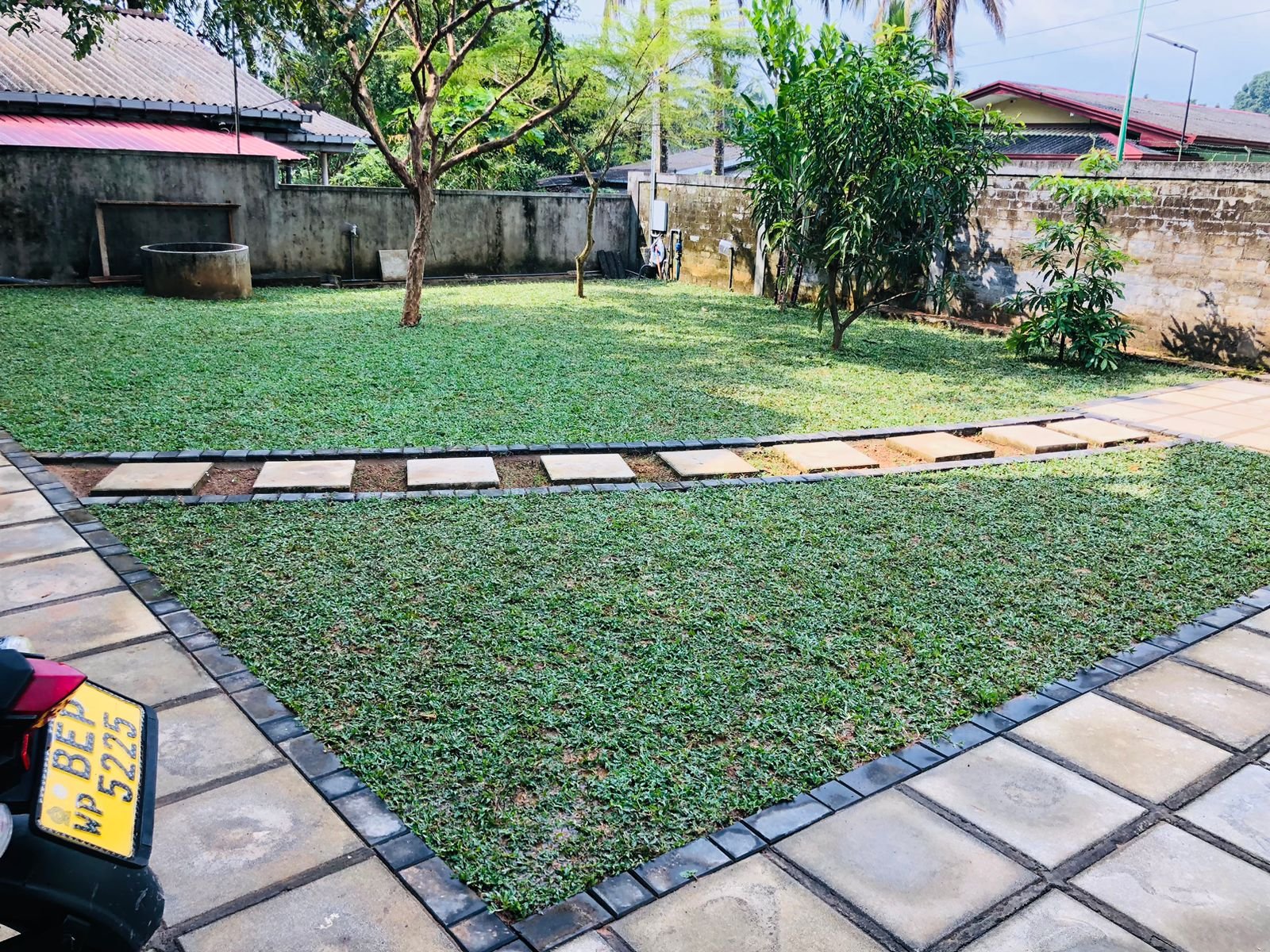 Other image 202509/malaysian-grass-price-pannipitiya-wedabima-6cc7e3e8b9.jpeg