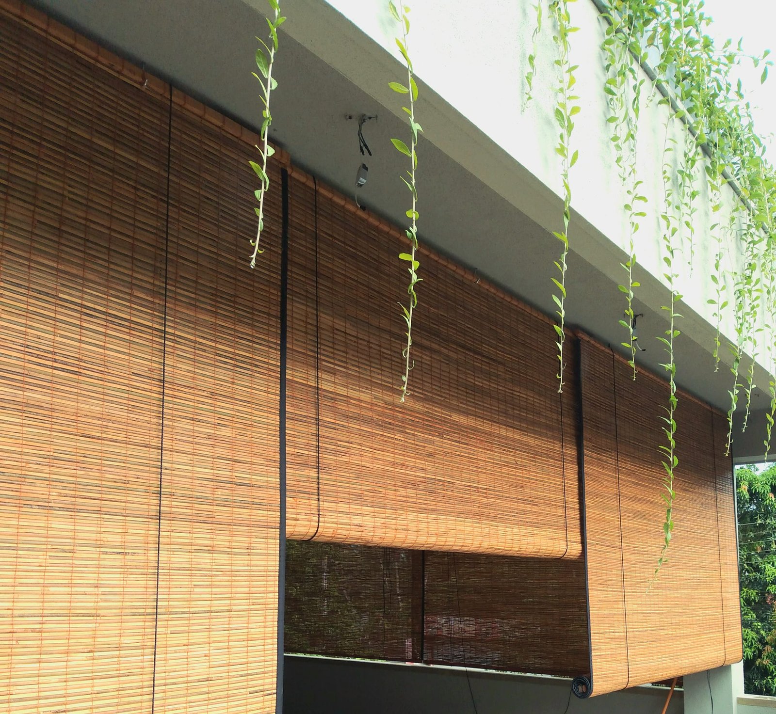 Other image 202509/natural-bamboo-roll-up-window-blinds-nuwara-eliya-wedabima-95430e9760.jpg