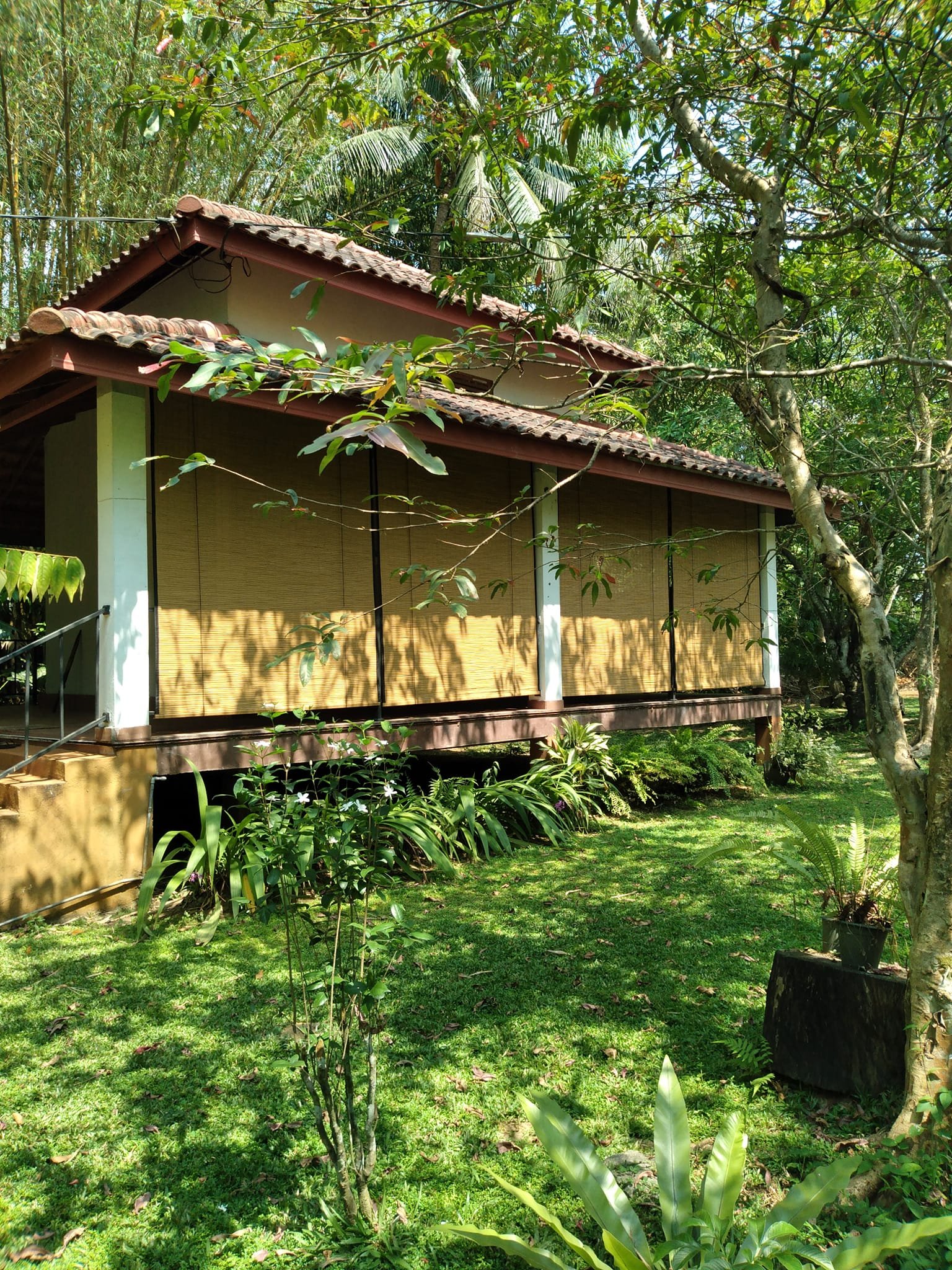 Other image 202509/roller-bamboo-blinds-price-polonnaruwa-wedabima-aa860d1b2a.jpg