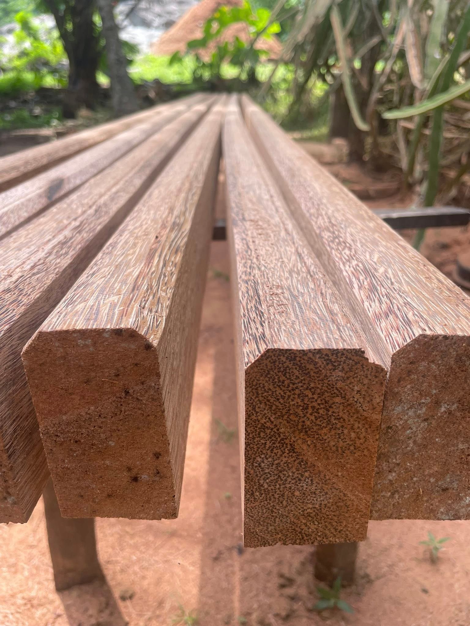 Other image 202510/coconut-wood-price-in-colombo-wedabima-7307f1288b.jpg