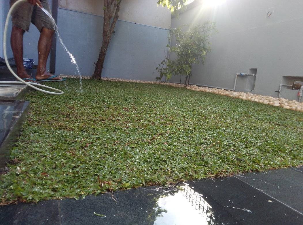 Other image 202510/garden-decoration-price-in-kotte-wedabima-54e6a56eb3.jpg