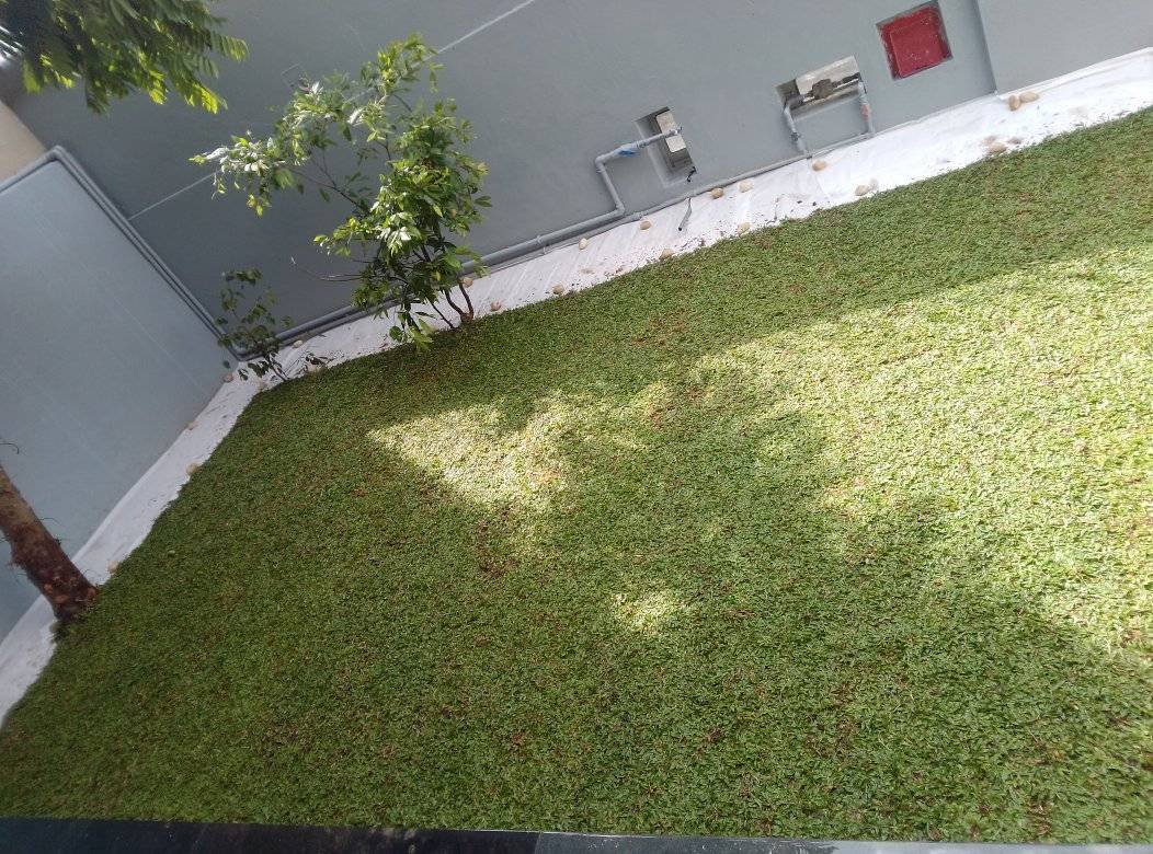 Other image 202510/garden-decoration-price-in-kotte-wedabima-ef3d61bbb4.jpg