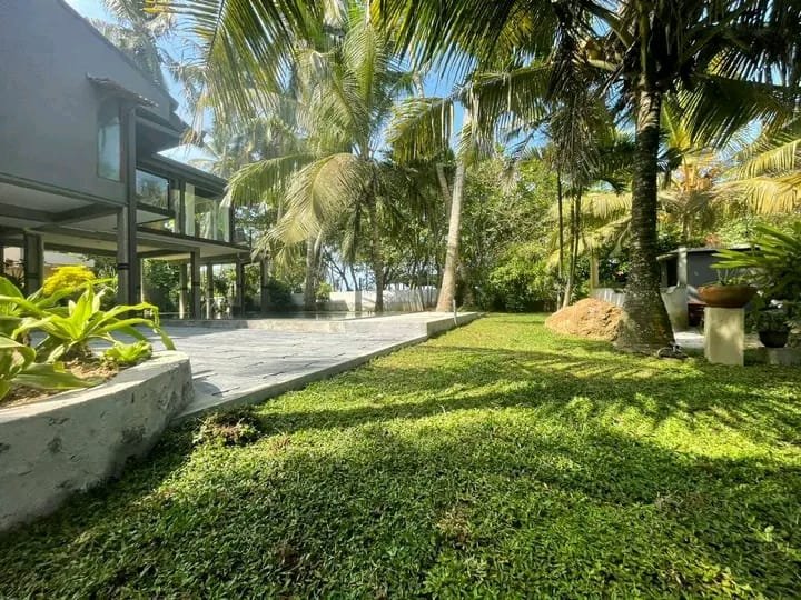 Other image 202510/garden-decoration-price-in-kotte-wedabima-ff7e2aa37e.jpeg