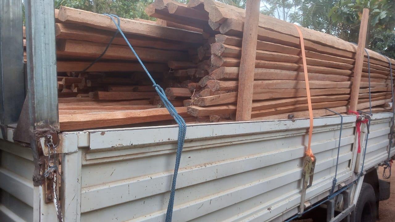 Other image 202510/roofing-timber-price-in-sri-lanka-wedabima-692757ed7e.jpeg