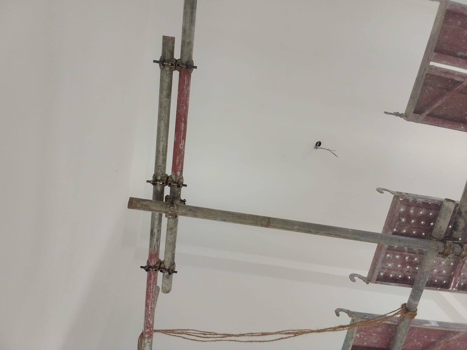 Other image 202510/wall-painting-services-matara-wedabima-7d98f4edd9.jpg