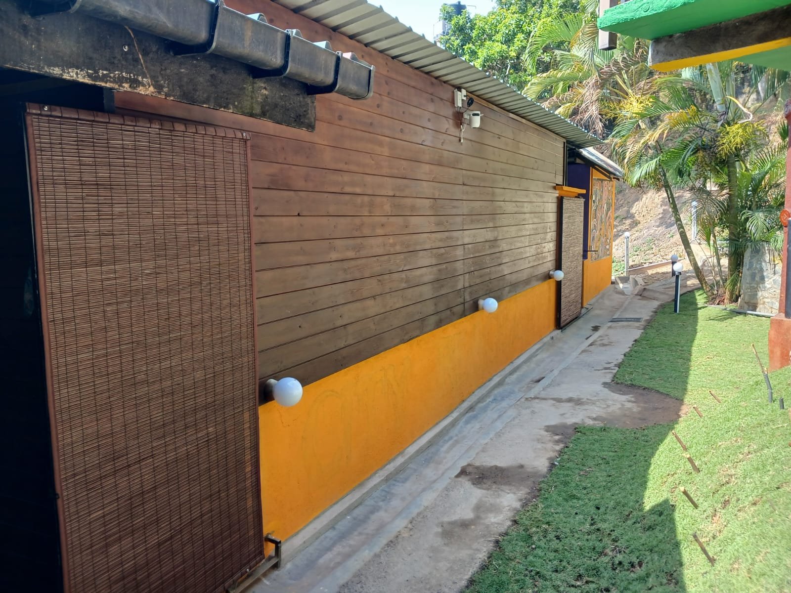 Other image 202603/bata-palali-sri-lanka-best-prices-wedabima-0e8d62c7d1.jpeg