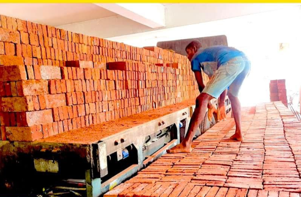 Other image 202603/large-bricks-for-sale-embilipitiya-wedabima-78739f1578.png