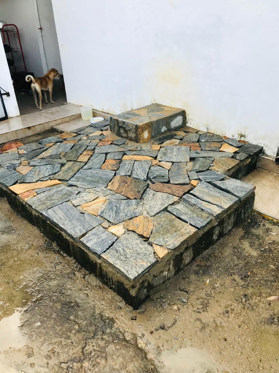 Other image 202603/point-stone-price-in-kandy-wedabima-f72871adc5.jpeg