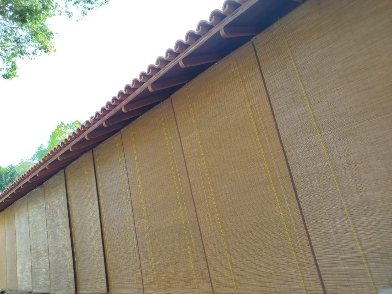 Other image 202604/bata-palali-bamboo-blind-at-best-price-in-srilanka-wedabima-8155bb6ddb.jpeg