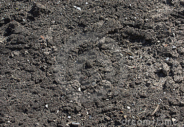 Other image 202606/black-soil-transporters-in-kalubowila-wedabima-1a810d4f86.png