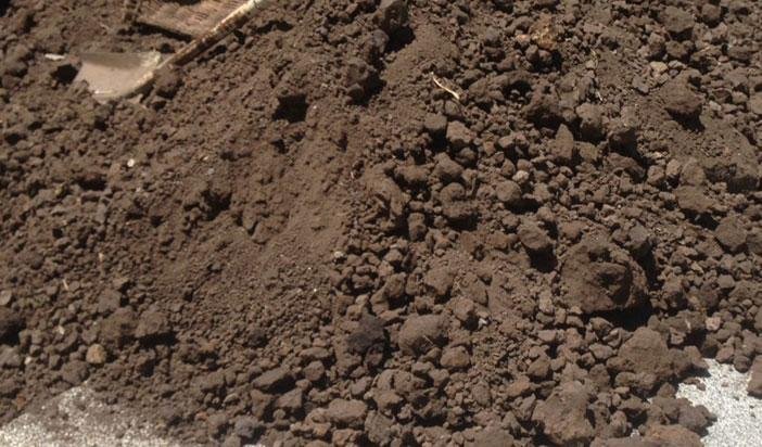Other image 202606/soil-transport-and-service-nugegoda-wedabima-fc62b3f34a.jpg