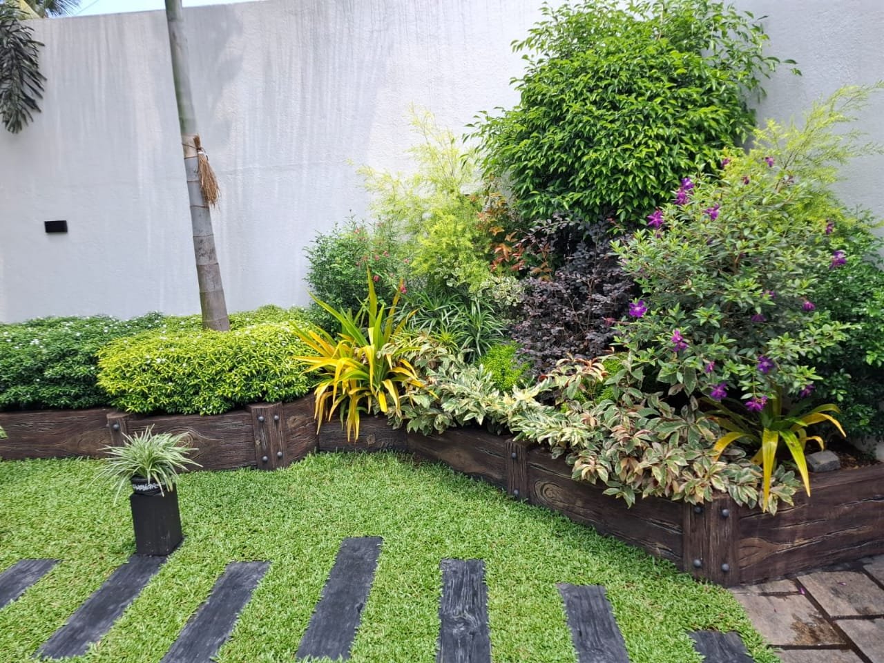 Other image 202609/bermuda-grass-colombo-wedabima-7752e9f0f8.jpeg