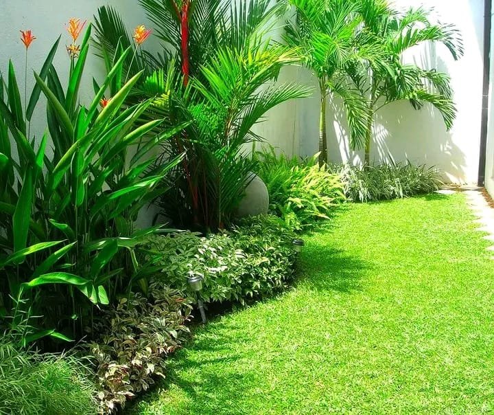 Other image 202609/landscaping-services-in-sri-lanka-wedabima-70c2363583.jpeg