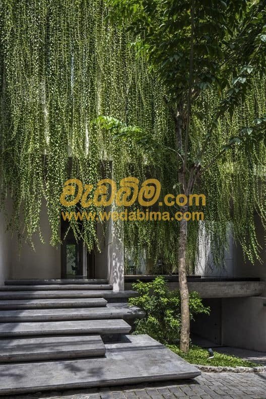 Other image wedabima.com_McLlckNlDA2WT6DEQTLExC2dBvuKiNUMDwIw7hx6.jpeg