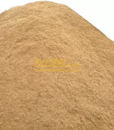 Other image wedabima.com_MuoAbcPgSy6X1hqE20HS800mWckqI1tZBzPmIapO.jpeg