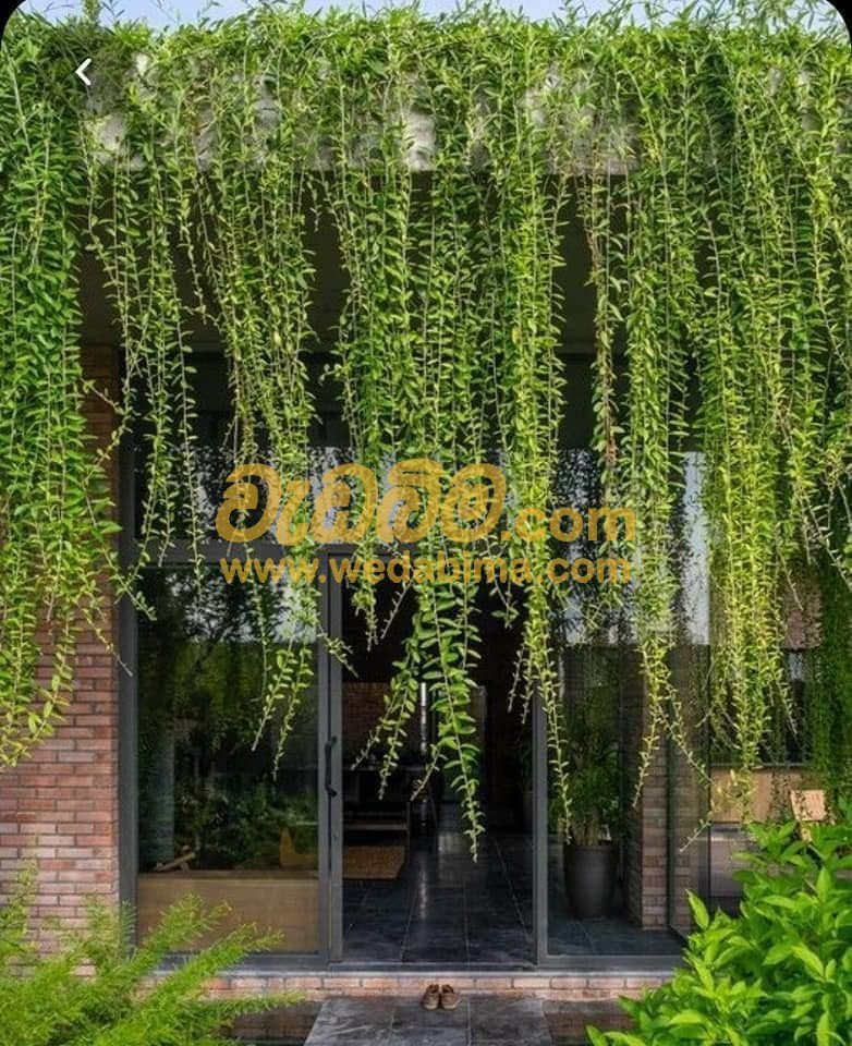 Other image wedabima.com_NIrJRd4U6uUTvyC3cX3GjFvhmqkbVCFMWzwh29UX.jpeg