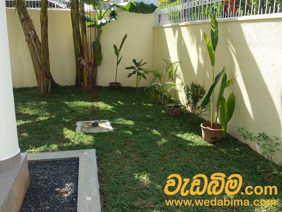 Other image wedabima.com_b2oGOqBYVuLFQe5Bclq3pF2BSGsEGfQXtbDXSgW5.jpeg