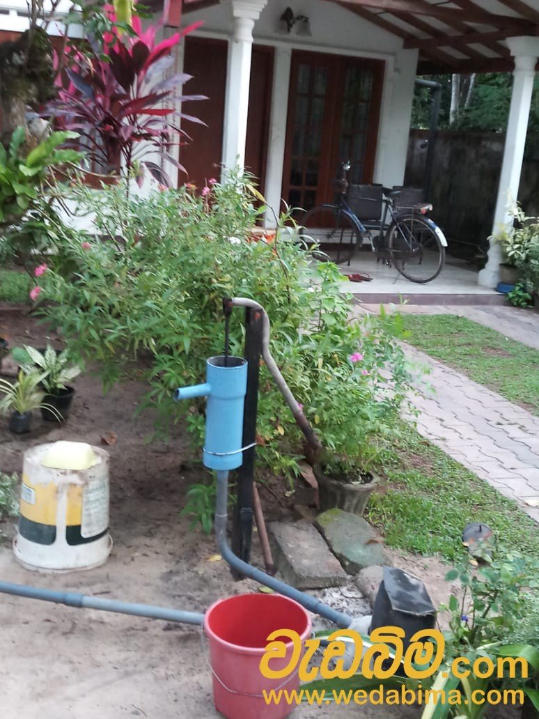 Other image wedabima.com_ey7moNImLrICl55RxohxeodpQkn5J88hnlINQOpS.jpeg