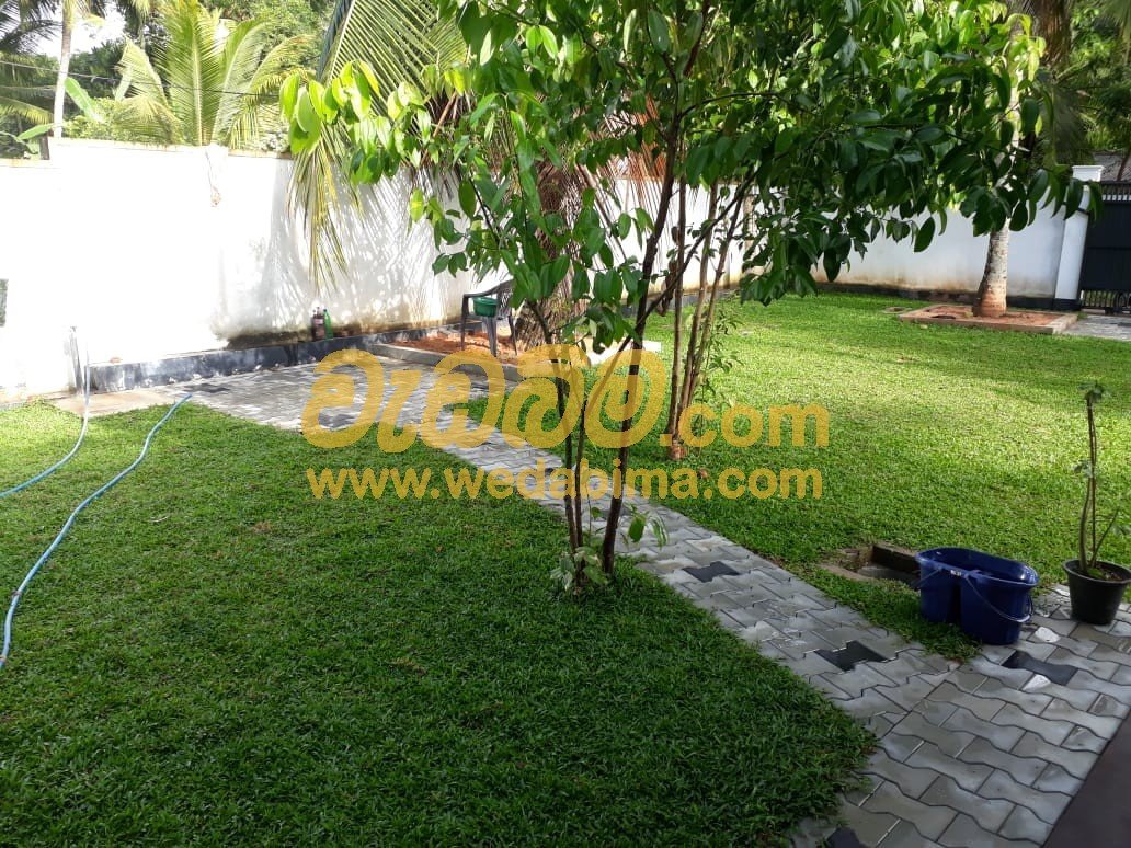 Other image wedabima.com_izaDUwJuy5c7oEfrFtPsMhXnmdBPHbFyzY9A22w1.jpeg