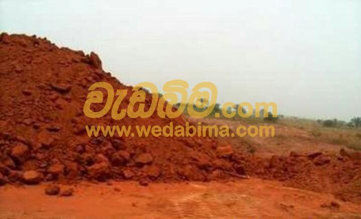 Other image wedabima.com_xAgZPzFgWLAUe0NTUlDpeqnXhbOebja7DOpIYCkb.jpeg