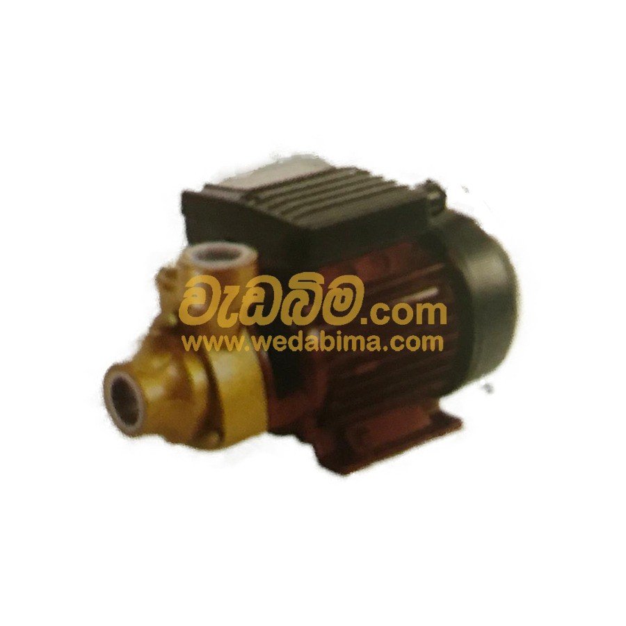 0.5 HP Water Pump